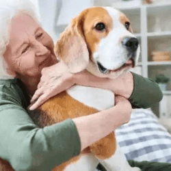 Case Study Home Care Case Studies